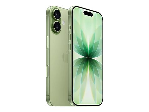 Apple iPhone 17 - MG6N4QN/A