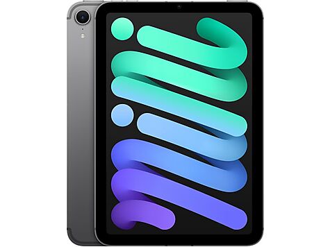 ipad mini back