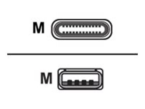 Cellular Line - USBDATACUSBA-CW