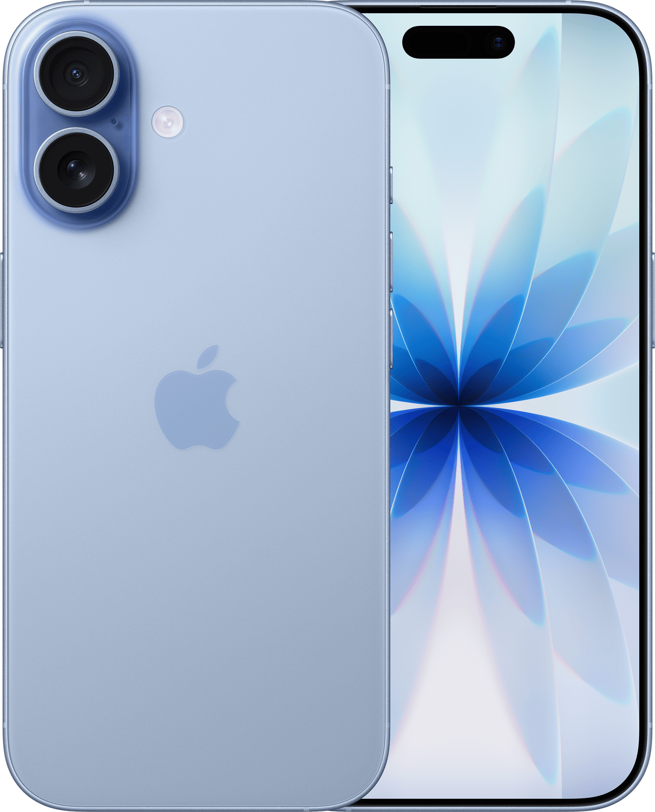 Apple iPhone 17 i fargen Duggblå sett fra forsiden og baksiden