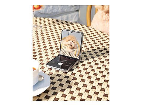 Samsung Galaxy Z Flip6 - SM-F741BZSHEUB