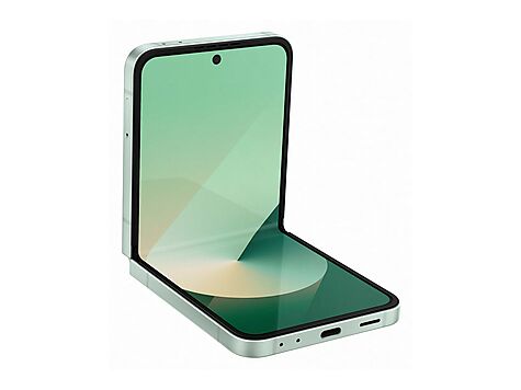 Samsung Galaxy Z Flip6 - SM-F741BLGHEUB
