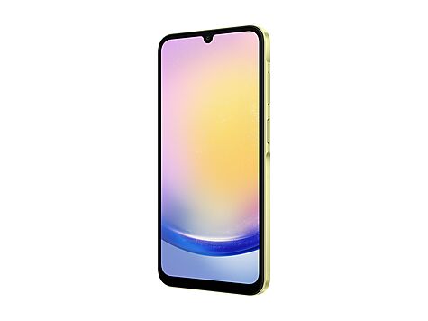 Samsung Galaxy A25 - SM-A256BZYDEUB
