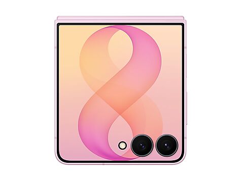 Samsung Galaxy Z Flip8 - SM-F776BLIGEUB