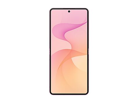 Samsung Galaxy Z Flip8 - SM-F776BLIGEUB