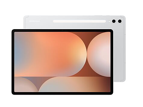 Samsung Galaxy Tab S10+ - SM-X820NZSREUB